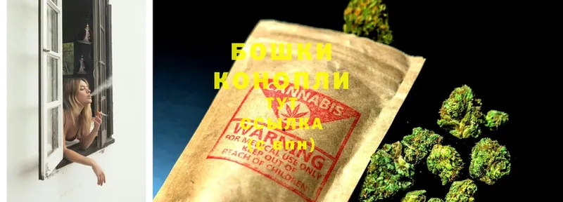 Канабис SATIVA & INDICA  сколько стоит  Оса 